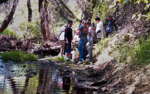Treepeople Land Trust volunteers help clean trash from a riverbed.
